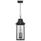 Quoizel Manning Outdoor Hanging Lantern MAN1911WT - alternate 3
